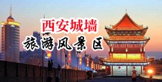 鸡巴操逼导航中国陕西-西安城墙旅游风景区